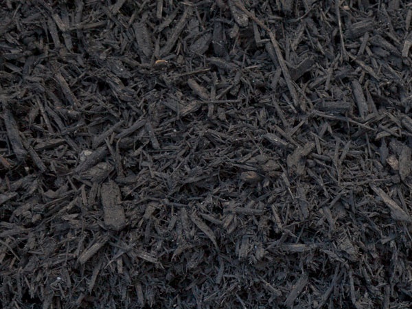 black mulch 1